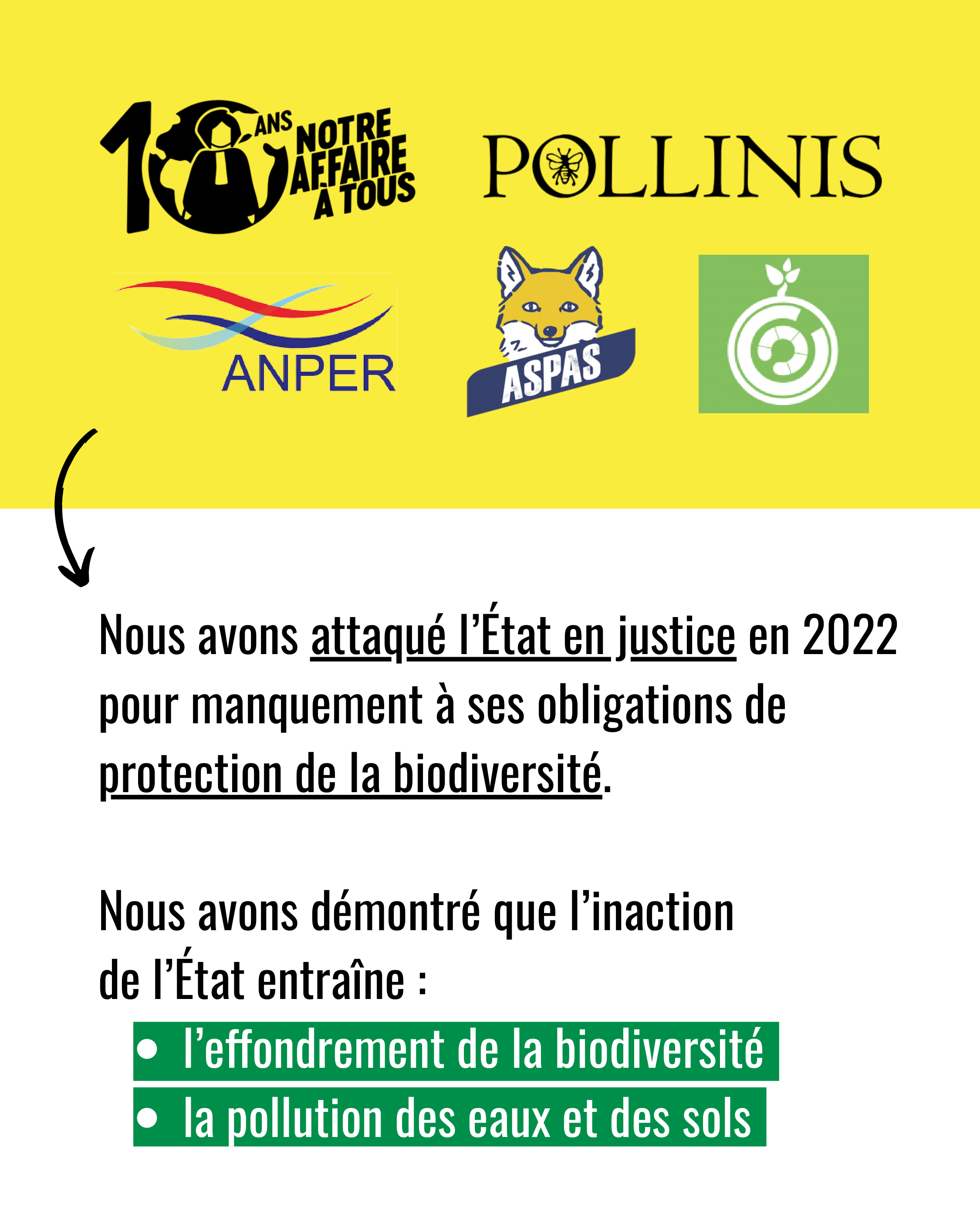 Infographie legal design